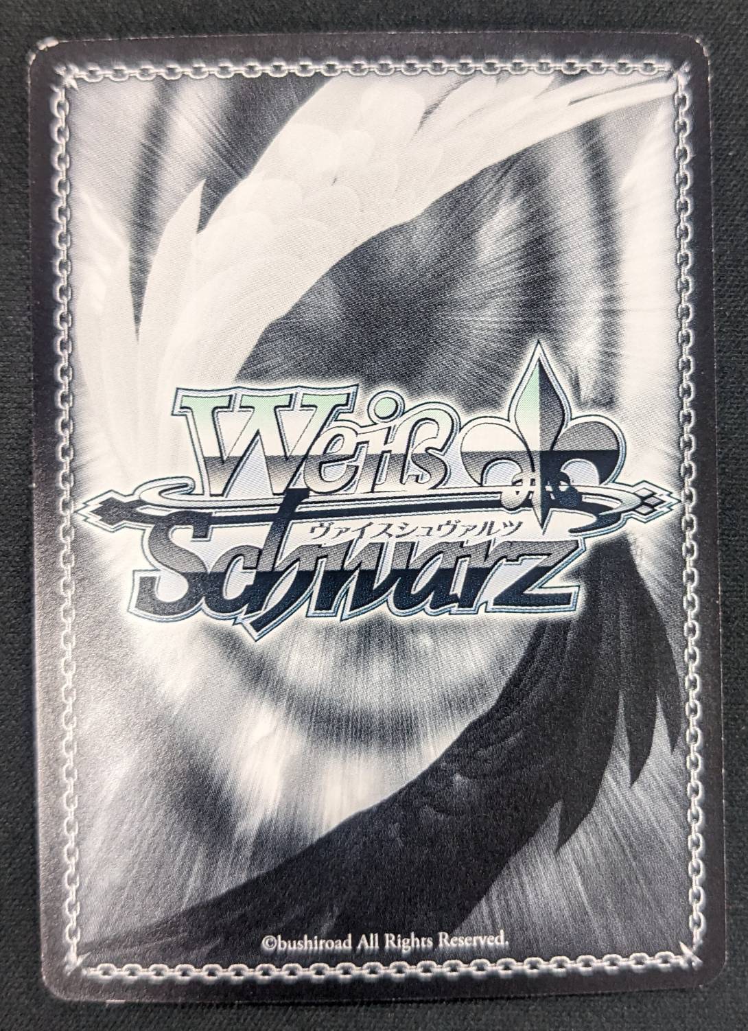 ふわもこ夢心地望月杏奈(SSP)(サイン)(IMS/S61-001SSP) | 未登録