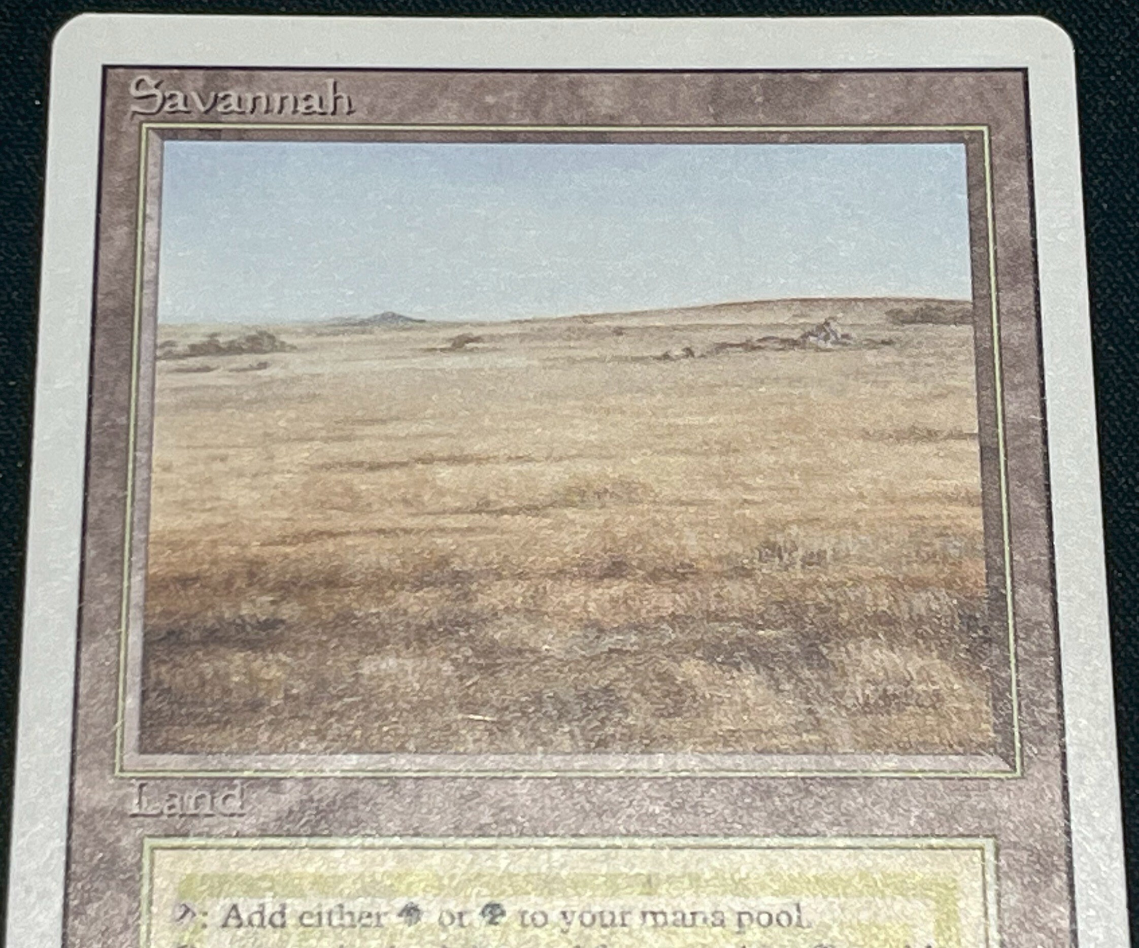 3ED)Savannah(MP)(EN)/(未訳) | 未登録 | ドラゴンスター | マジック