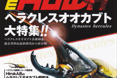 BE・KUWA（ビー・クワ）84号☆ヘラクレスオオカブト大特集｜ドルクスダンケ