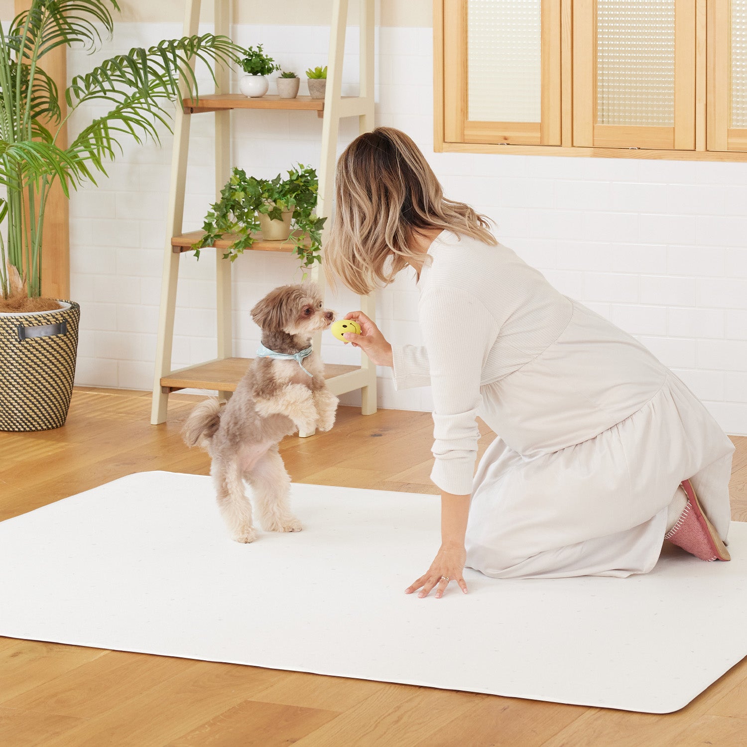 ドリドリマット 220×110cm 180x140cm 65×180cm hwn01-k hwn02-k hwn04