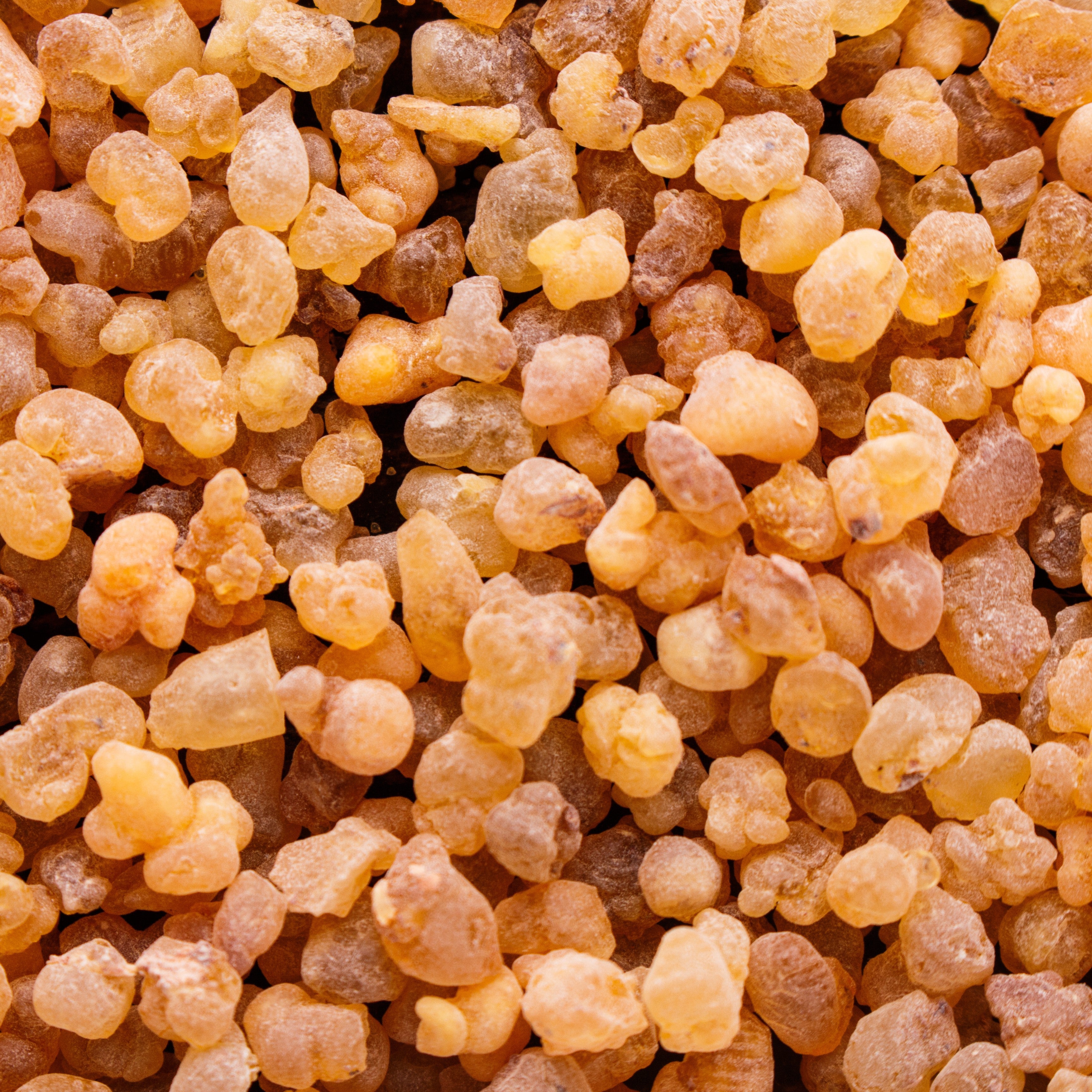 Incense Crush ボディフレグランス - ドルセー ジャパン (d'Orsay