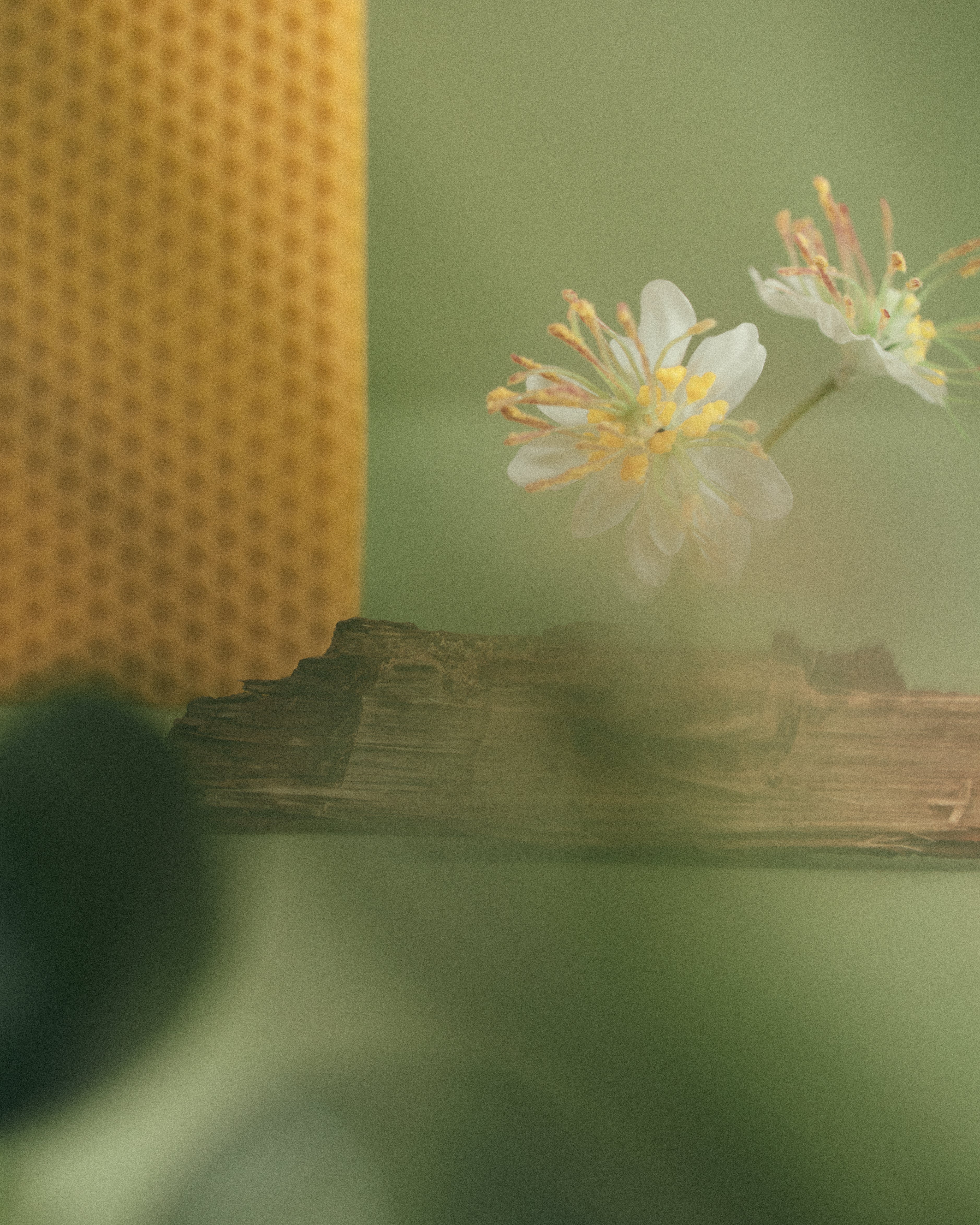 06:20 センティドキャンドル - ドルセー ジャパン (d'Orsay Japan