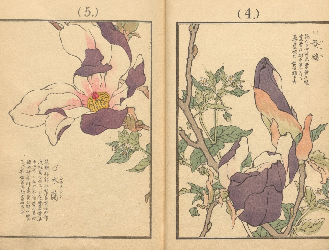 千種の花 | NDLイメージバンク | 電子展示会