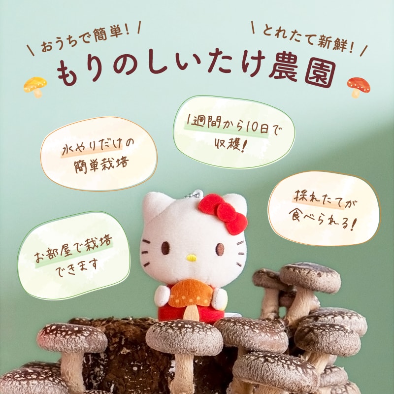 希少 サンリオ ご当地キティしいたけ キティきのこ型 大分限定