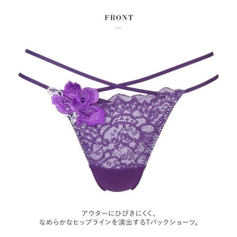 dショッピング |ワコール Wacoal サルート Salute 23AW 95G PTJ295 T