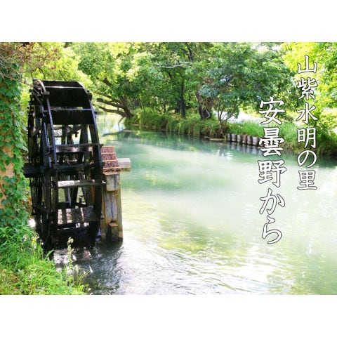 dショッピング |安曇野味付けあらぎりわさび150g お得な5本セット