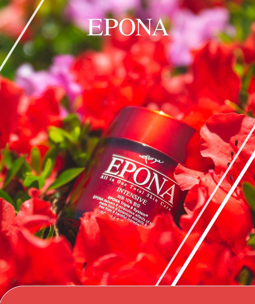 Qoo10 – 「EPONA」のショップページです。