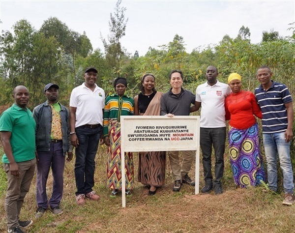 UCC DRIP POD ルワンダ フイエマウンテン 2024 12P | UCC ドリップ