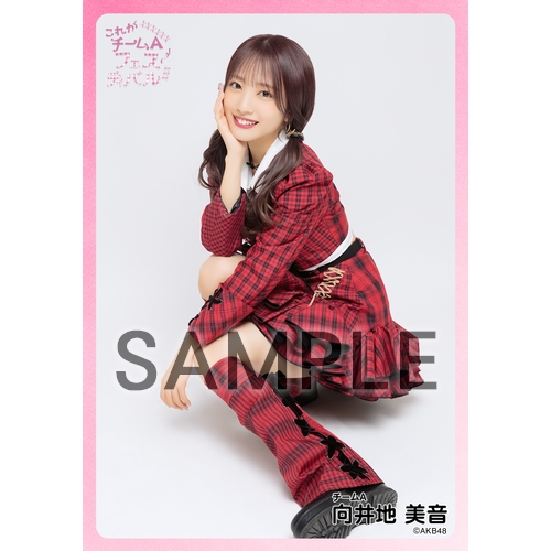 予約商品】AKB48 現チームファイナルコンサート2023 個別生写真5枚