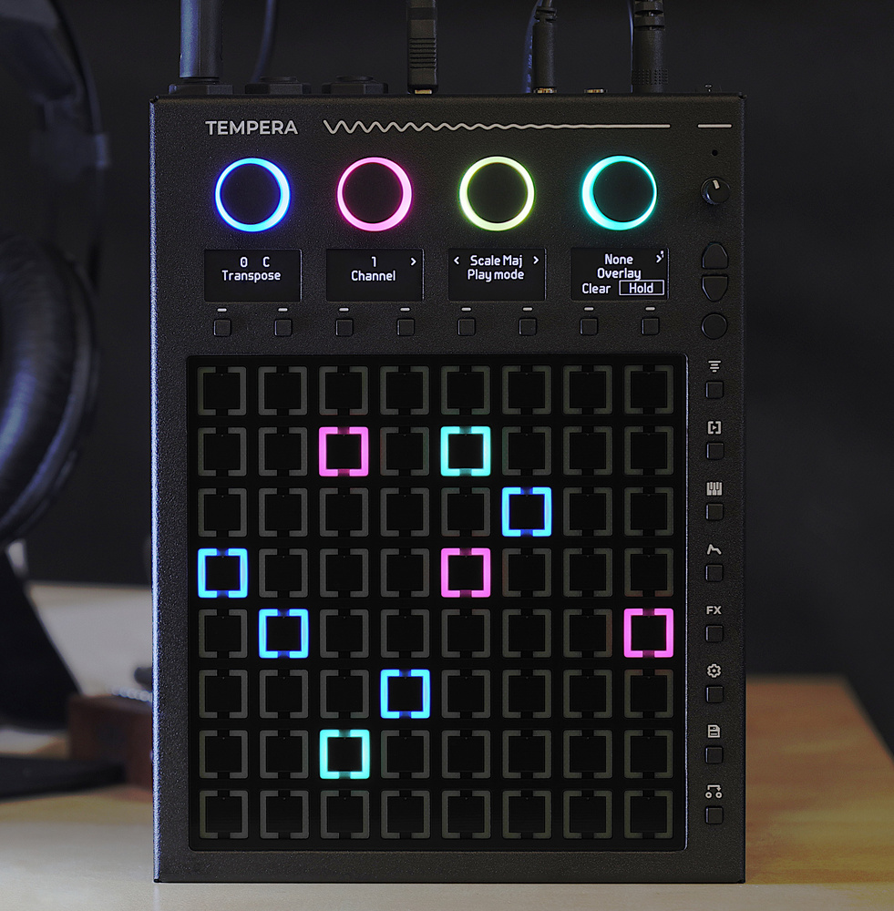 BeetlecrabTempera_01-NT9VC6DQ.