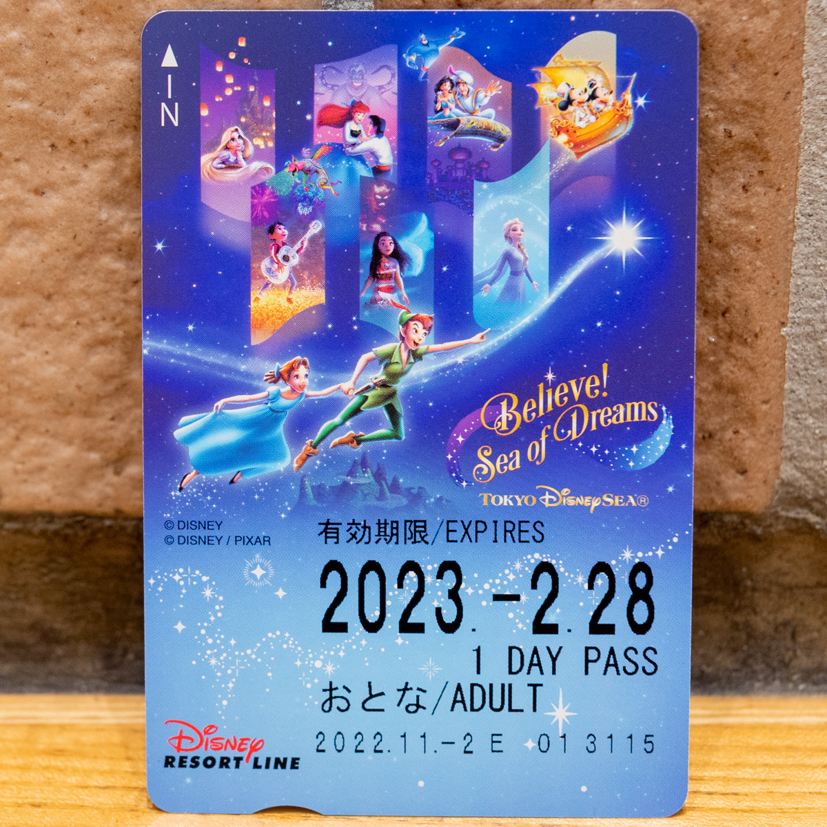 アリエルフリーきっぷ