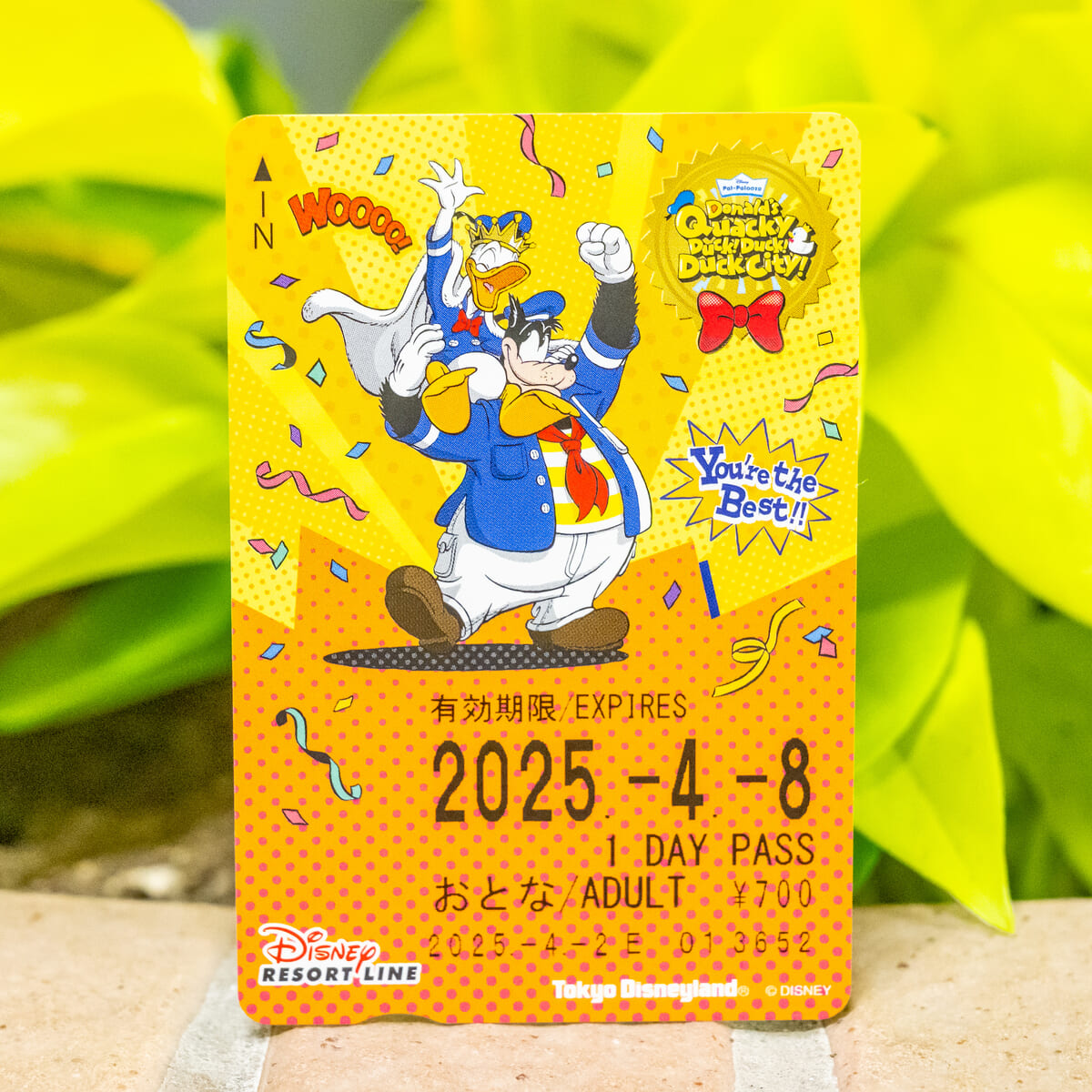 ドナルドのクワッキー・ダック!ダック!ダックシティ!”デザイン