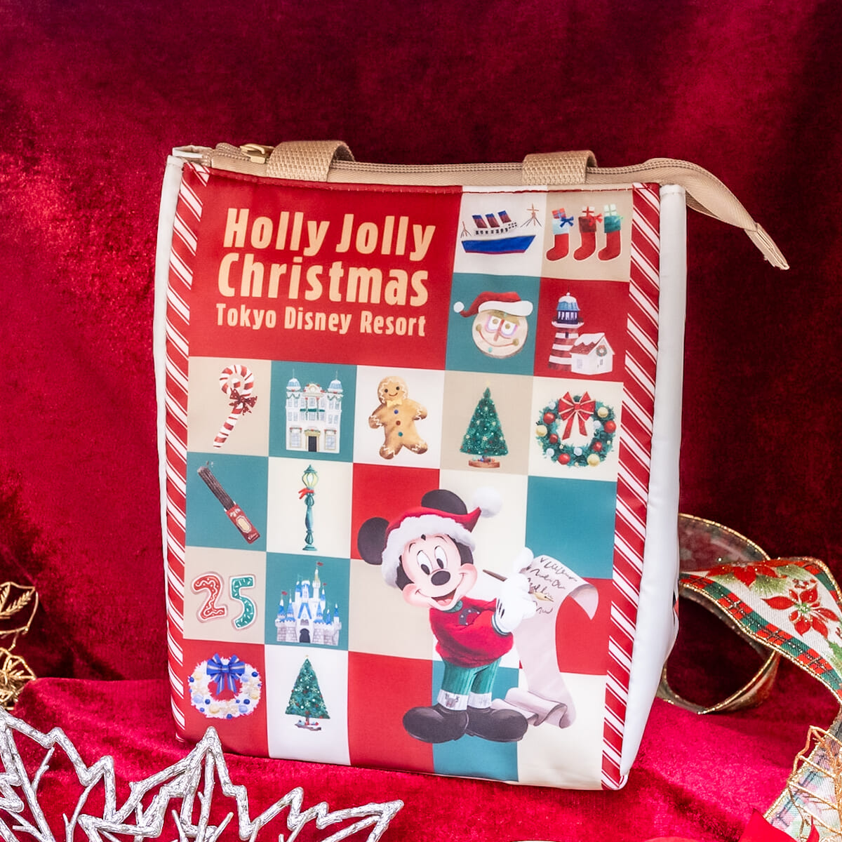 ソリに乗ってわくわく！東京ディズニーリゾート“ディズニー