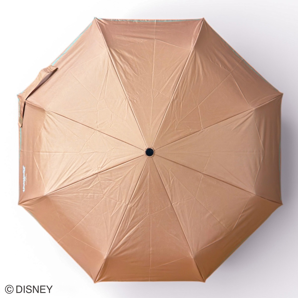 傘を開けばディズニーの世界が広がる！スケーター「晴雨兼用両面印刷