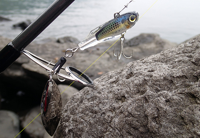 スタッフコラム | デュエルマガジン