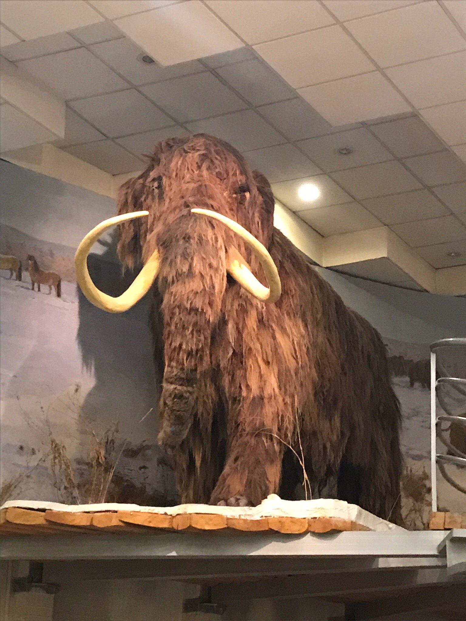 photo0jpg.jpg?w=1100&h=1100&s=1