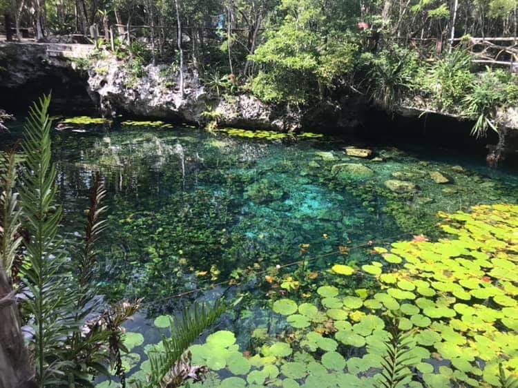 2026年 Cenote Nicte-ha - 出発前に知っておくべきことすべて