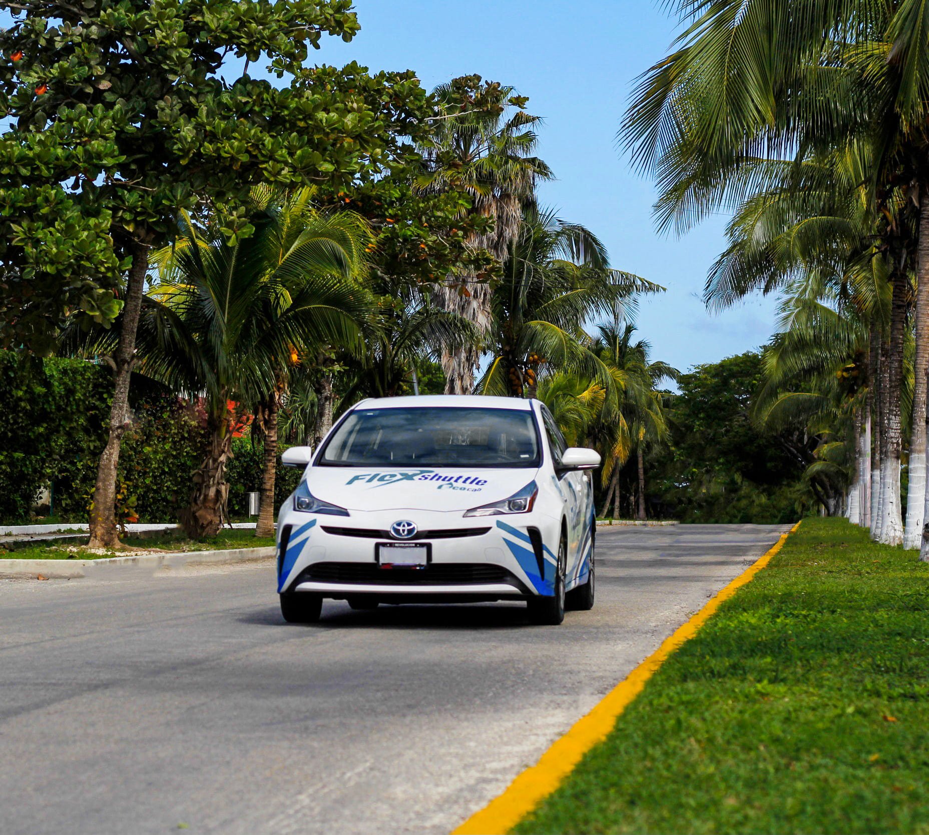 Flex Eco Taxi (2026) - All You MUST Know Before You Go (w/ Reviews)