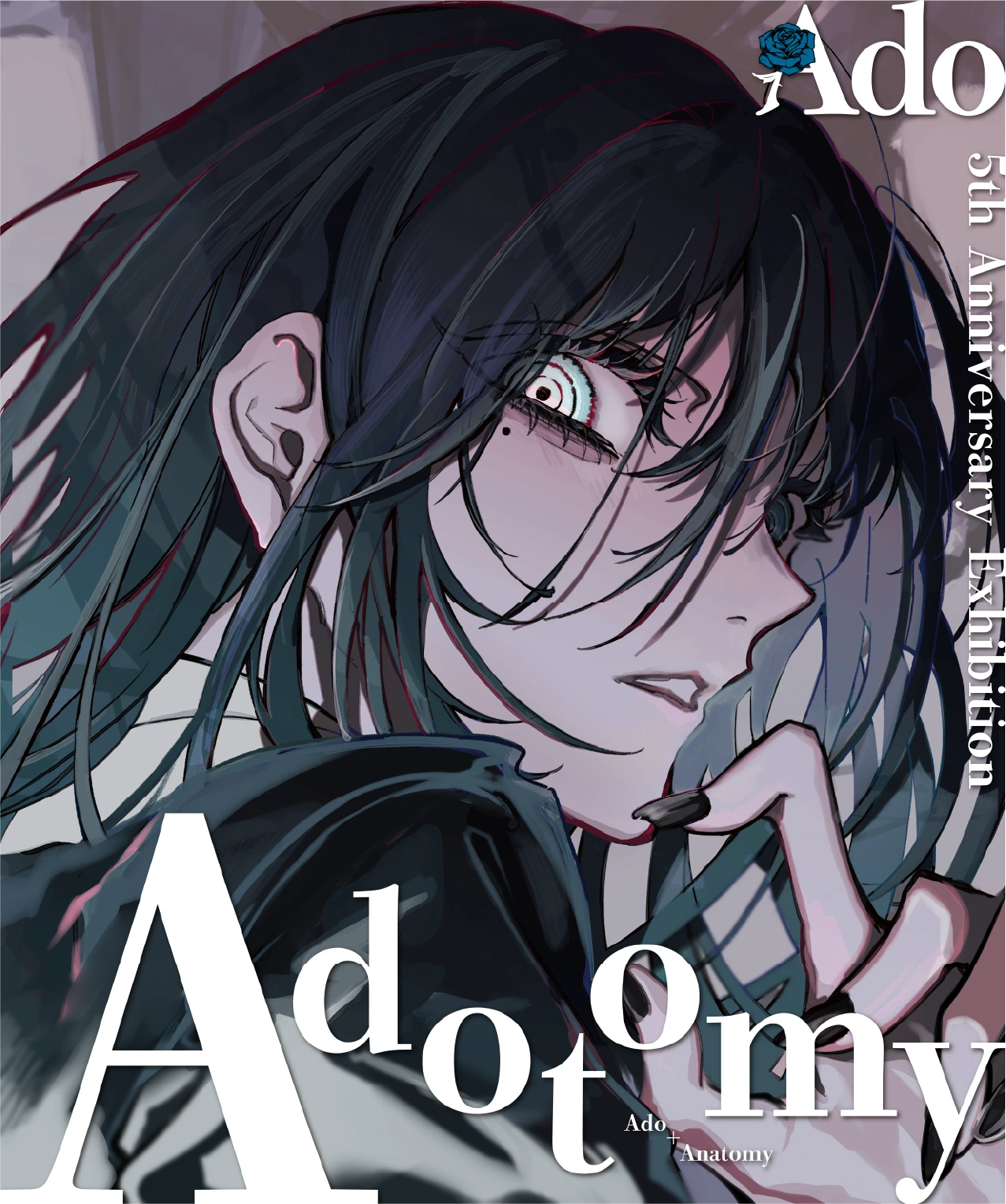 Ado 5th Anniversary Exhibition Adotomy