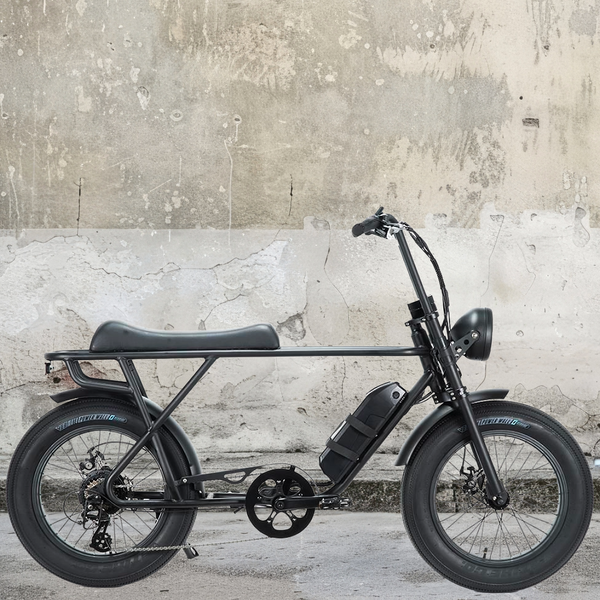 電動自転車／ブロンクスバギー BRONX BUGGY｜e-bike UENO｜バイク王