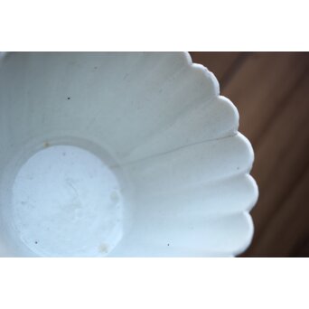 古伊万里白磁 菊型向付 10客1組 P204｜骨董店 のびる 古美術 骨董 和風