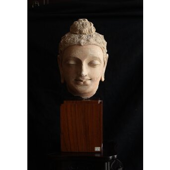 ガンダーラ美術 ストゥッコ 仏頭 X573｜骨董店 のびる 古美術 骨董