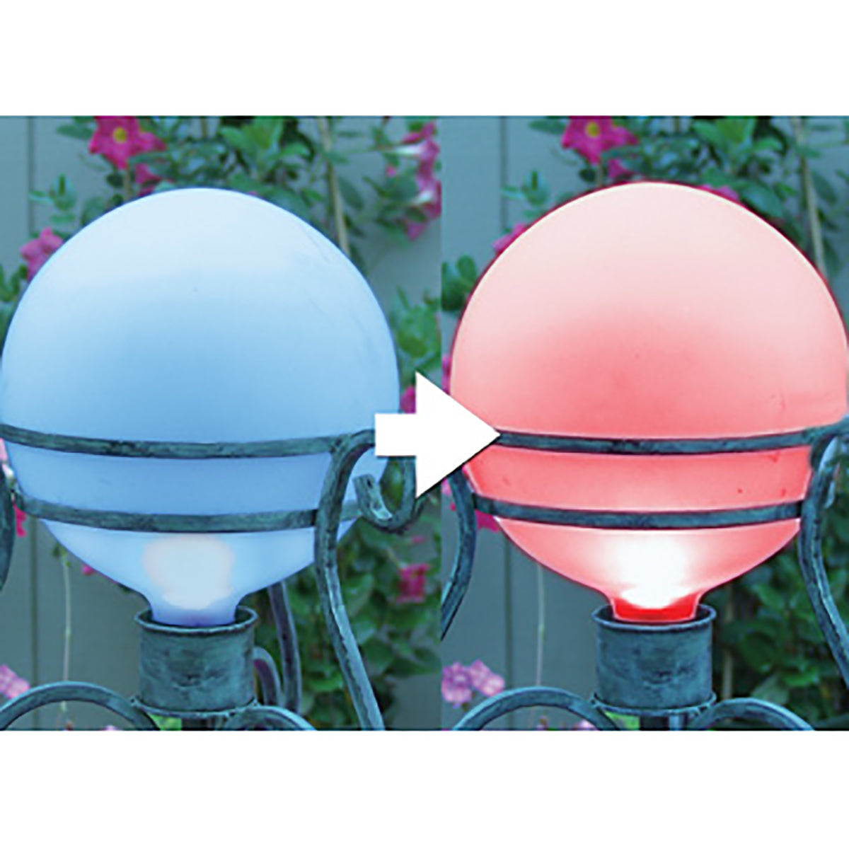 LED Solar Color Changing Caplight - EchoValley.com