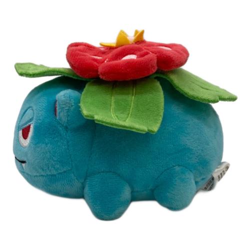 Pokemon Center (ポケモンセンター) ヌイグルミ ポケモンドールズ