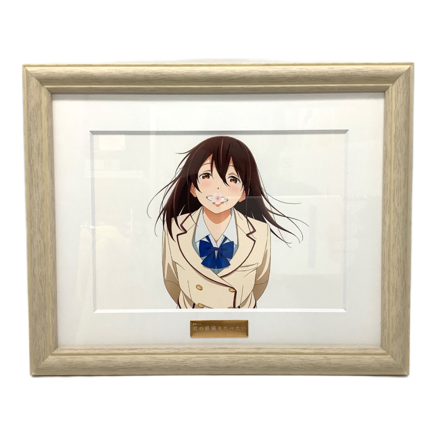 君の膵臓をたべたい Blu-ray＆DVD完全生産限定版 ANIPLEX+限定版特典