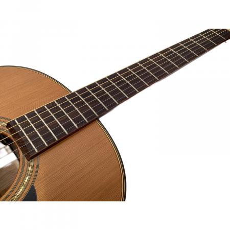 Takamine (タカミネ) 2001年製 PT05N 長渕剛モデル 150本限定