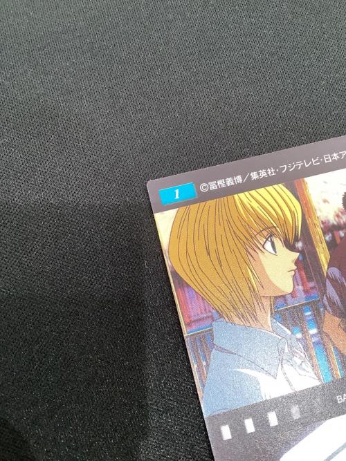 HUNTER×HUNTER (ハンター×ハンター) クラピカ レオリオ ゾルディック家