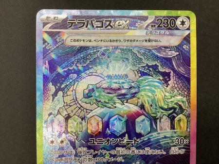 ポケモンカード テラパゴスex 130/102 SAR｜トレファクONLINE