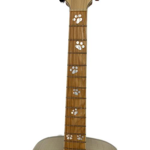 IBANEZ (アイバニーズ) エレアコギター AC419E Open Pore Antique