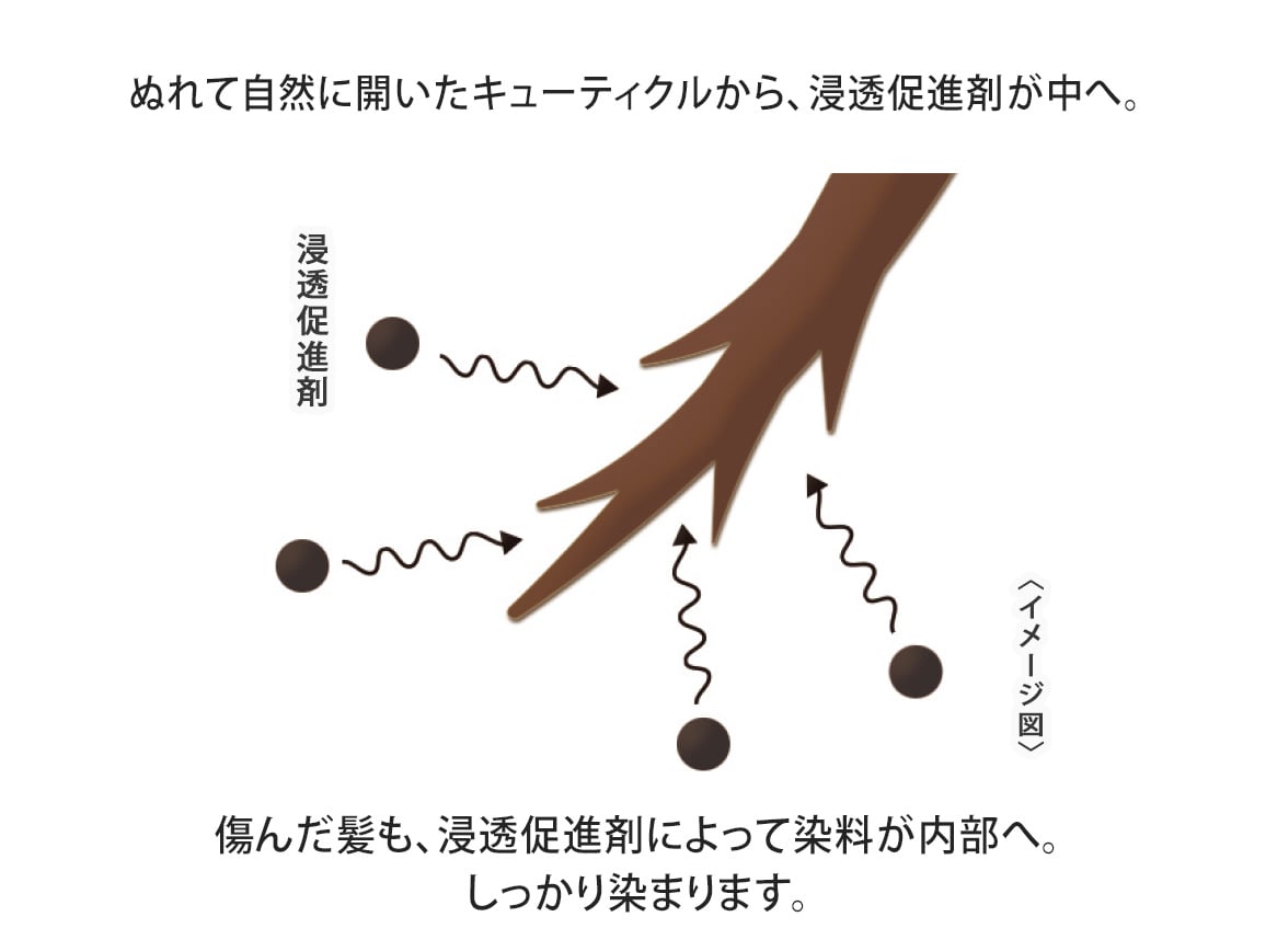 定期おトク便」ハルメク ヘアマニキュアトリートメント 2本組ソフト
