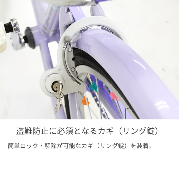 こども用自転車 BRIDGESTONE(ブリヂストン) エコパル ラベンダー 20