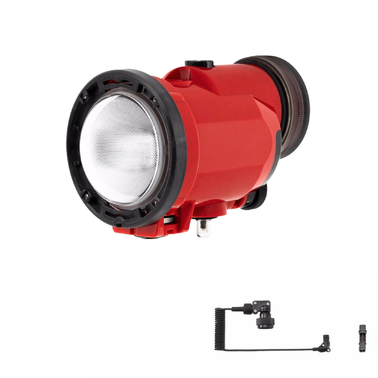 mic21ダイビングショップ[ INON ] S-220 L型光Dケーブルセット [ S-220