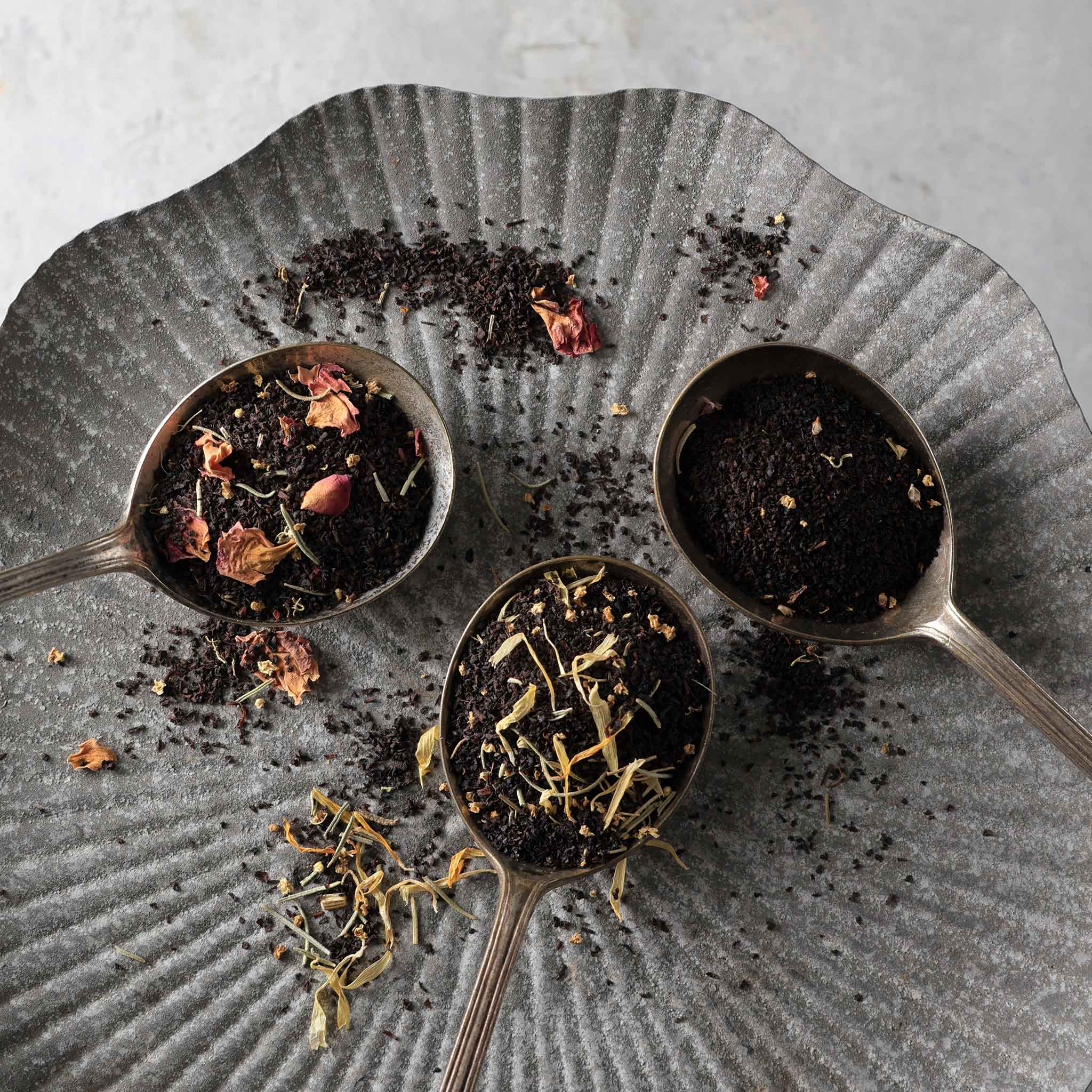 egift】ティーバッグギフト（おすすめ紅茶セット8TeaBag6箱） – モス