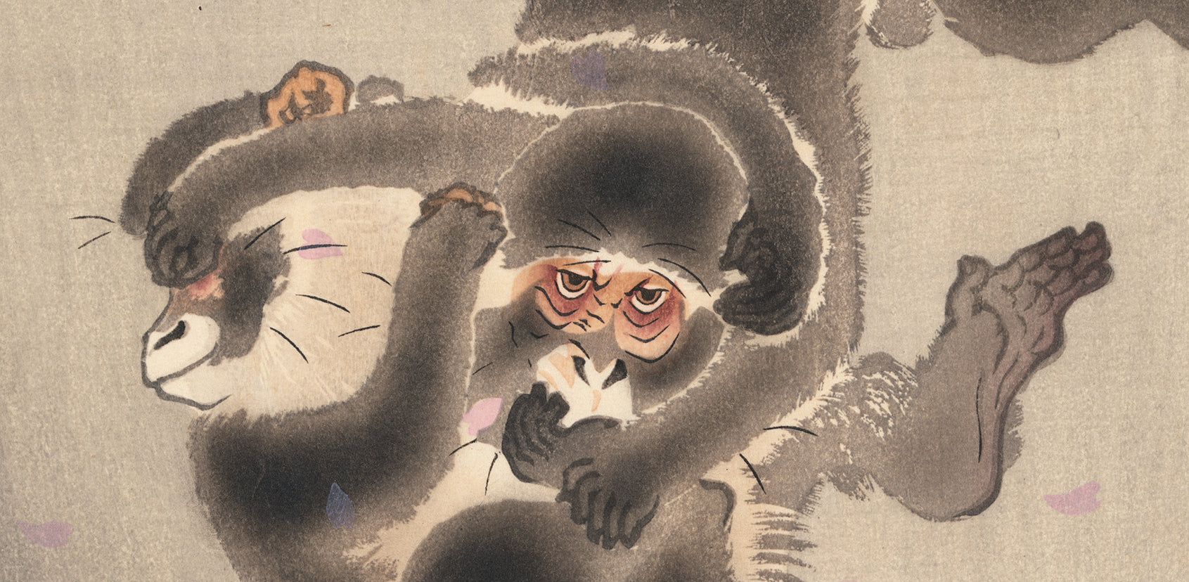 Koson 小原古邨 : Two Playing Monkeys 桜吹雪に小猿 – Egenolf