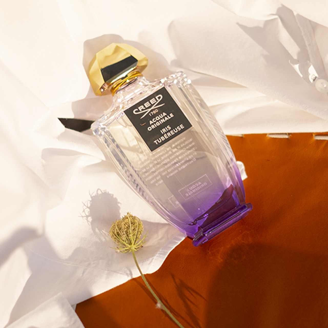 Iris Tubereuse - Acqua Originale - Eau de Parfum | Creed Boutique