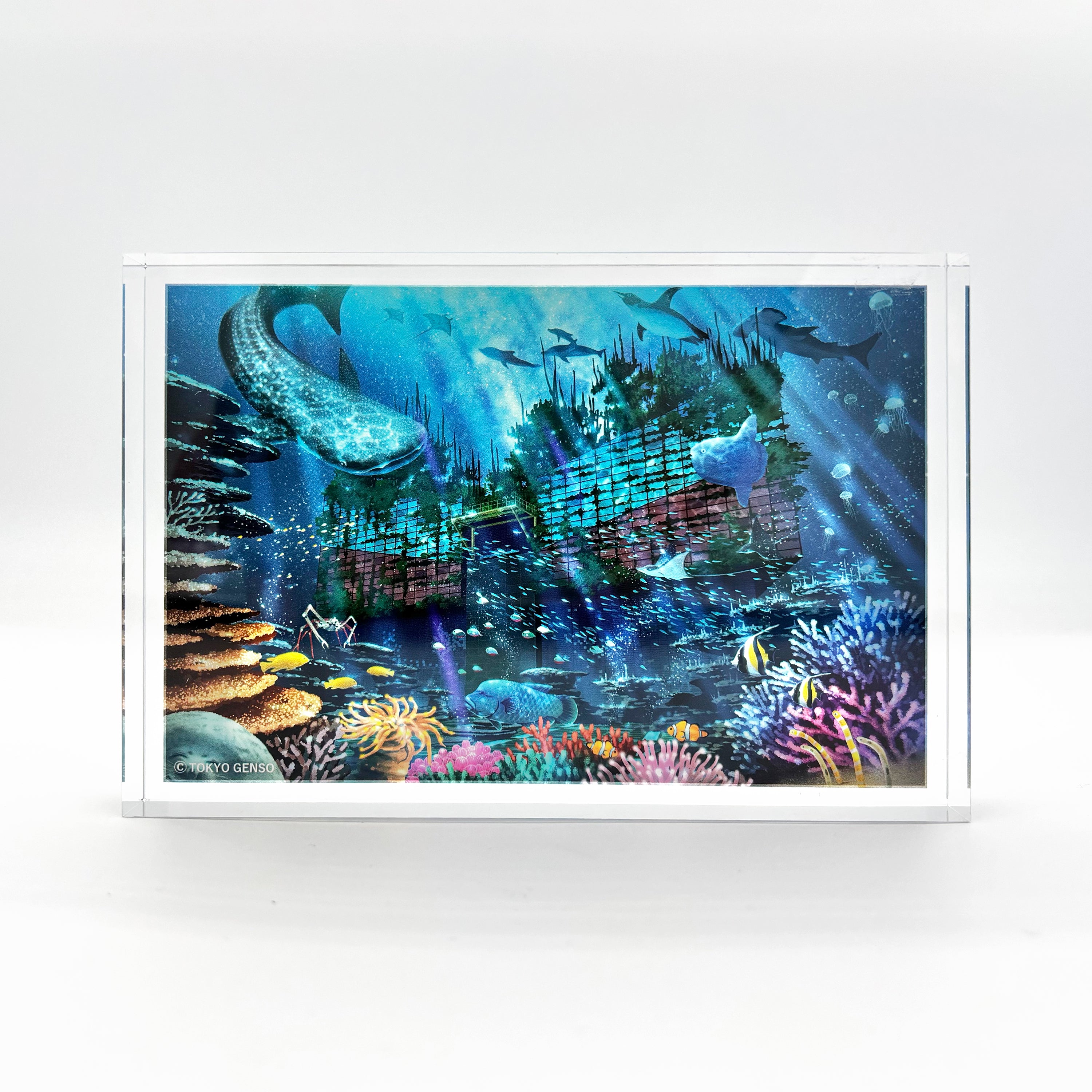 TG_AB_ao1.jpg?v=1745915028&