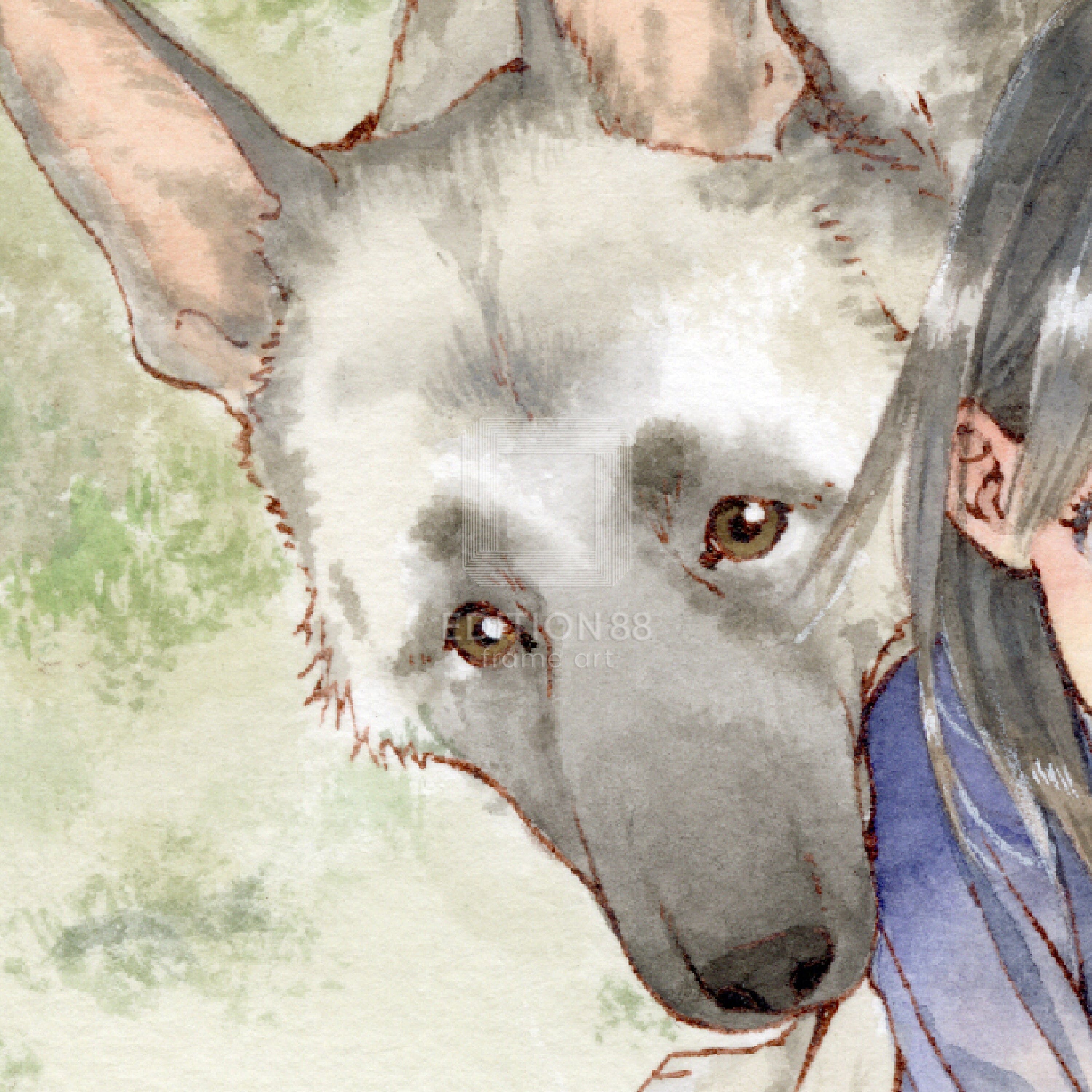 88グラフL / 白身魚（直筆サイン入り/限定50枚）