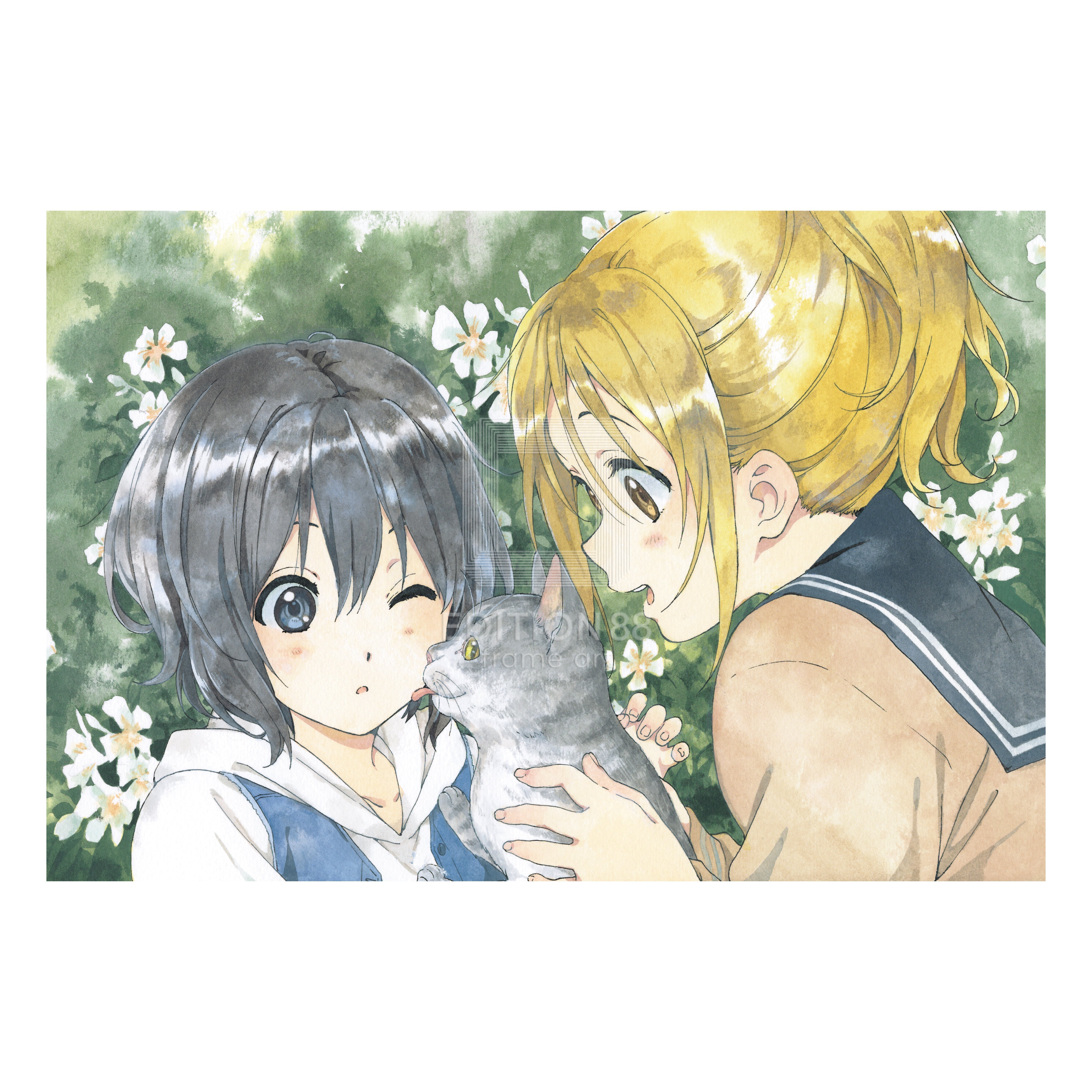 88グラフH / 白身魚（直筆サイン入り / 限定100枚）