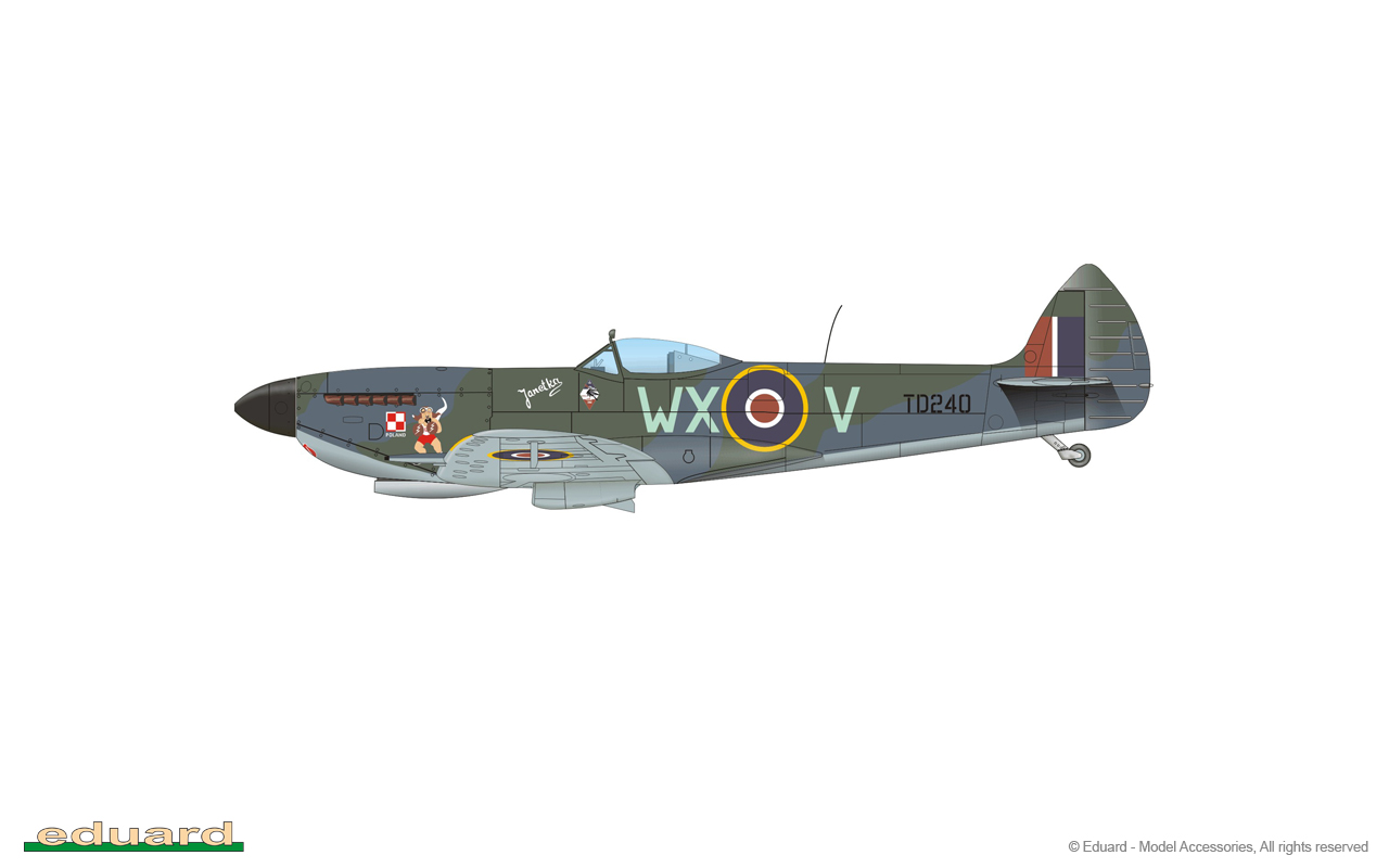 Spitfire Mk.XVI Dual Combo 1/72 - Eduard Store
