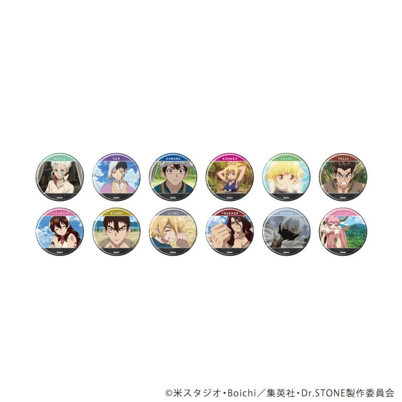 缶バッジ「Dr.STONE」35/ブラインド(12種)(場面写イラスト)｜アニメ