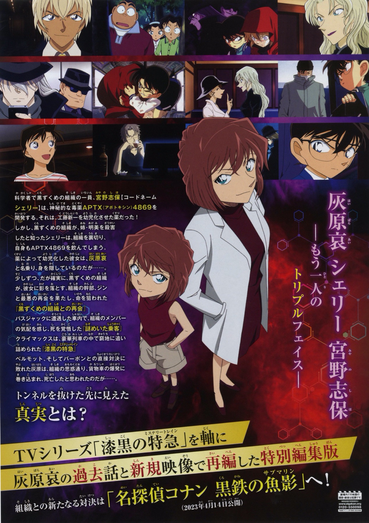 映画チラシサイト：TVシリーズ特別編集版 名探偵コナン 灰原哀物語