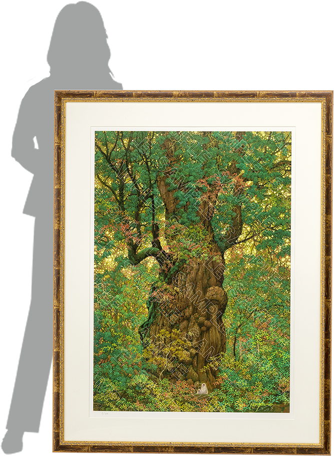 ジークレー額装版画 - 磯野宏夫 森の画集