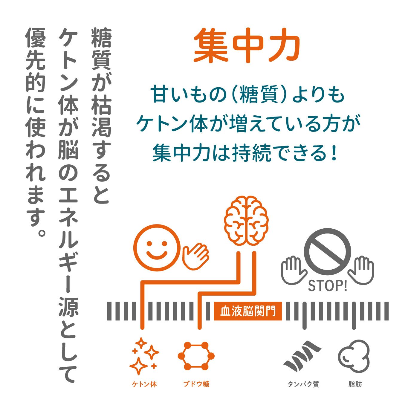 KETOSHOT（ケト・ショット）1箱10包x3箱|mdストア