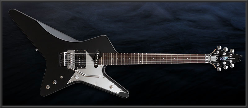 ESP | ARTIST CUSTOM GUITARS | SYU