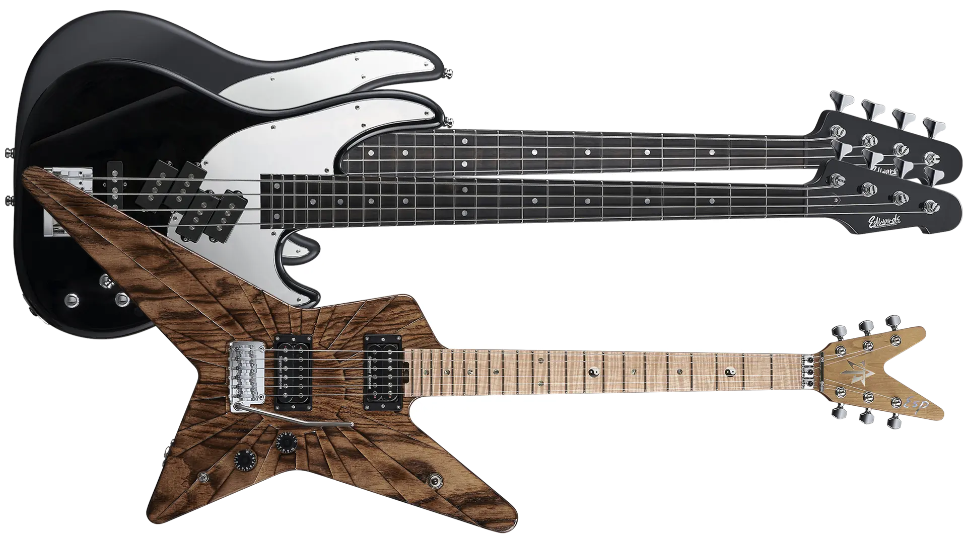 POTBELLY | ESP GUITARS