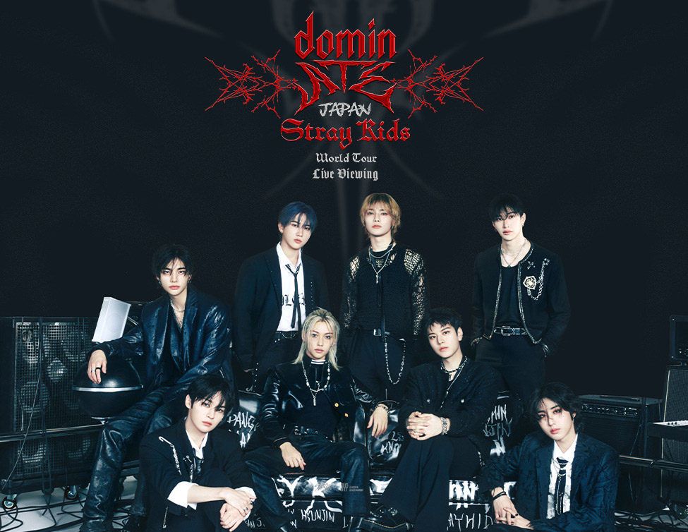 straykids domin ate シネマ 映画限定 トレカ ８枚セットB Stray Kids | Info